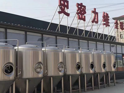凤山精酿啤酒设备厂—如何判断精酿啤酒设备的密封件需要更换？